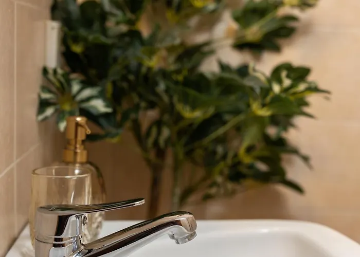 Urban Colors By Binobi!