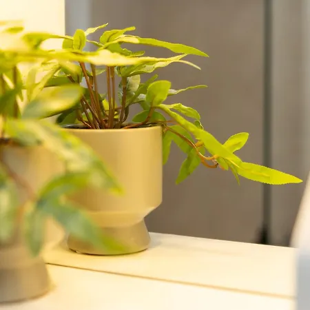 Urban Colors By Binobi! 公寓 *